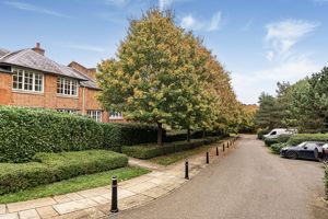 Photo 12- click for photo gallery